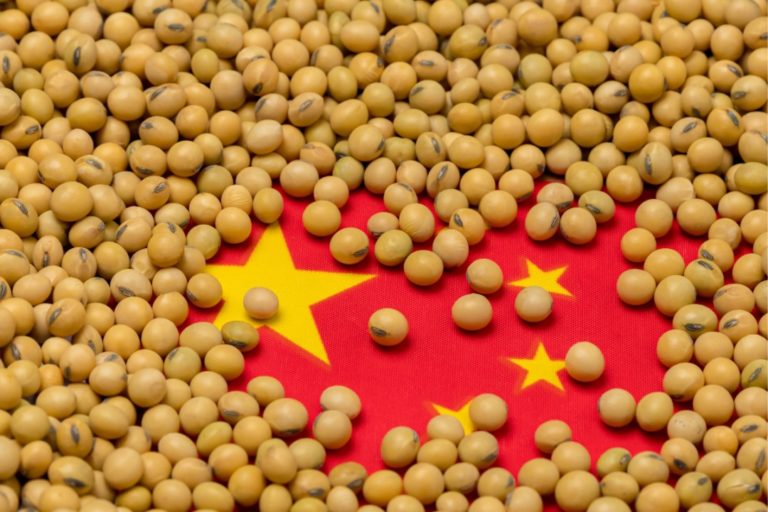 Brazil must reduce its dependence on China for soybean exports, says VP