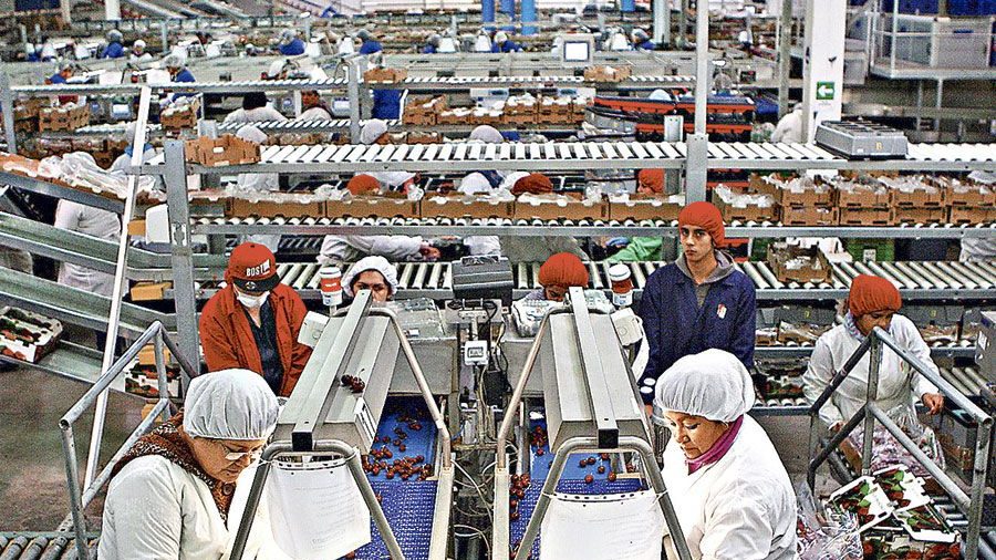 trabajo-chile