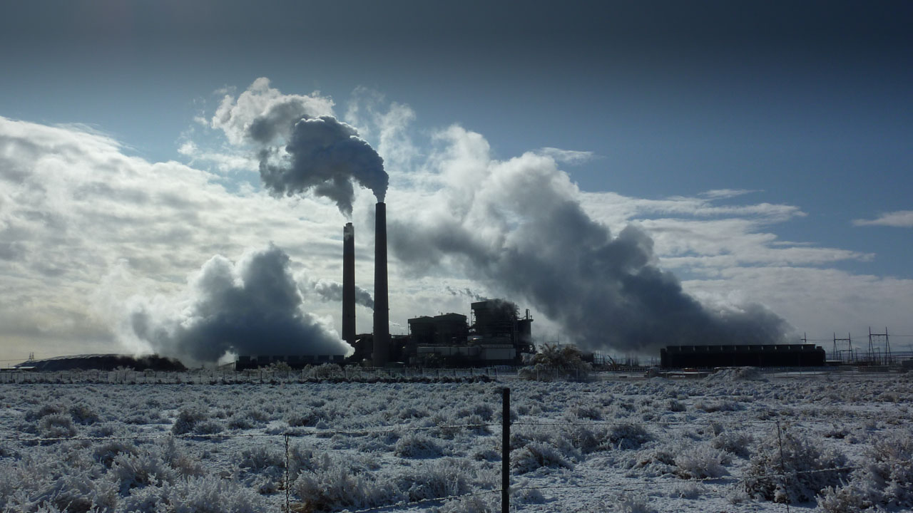 Coal