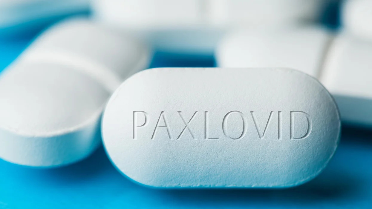 Paxlovid 33