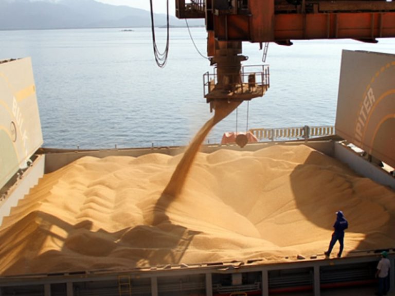 Brazil debates using larger vessels to lower soybean export freight costs