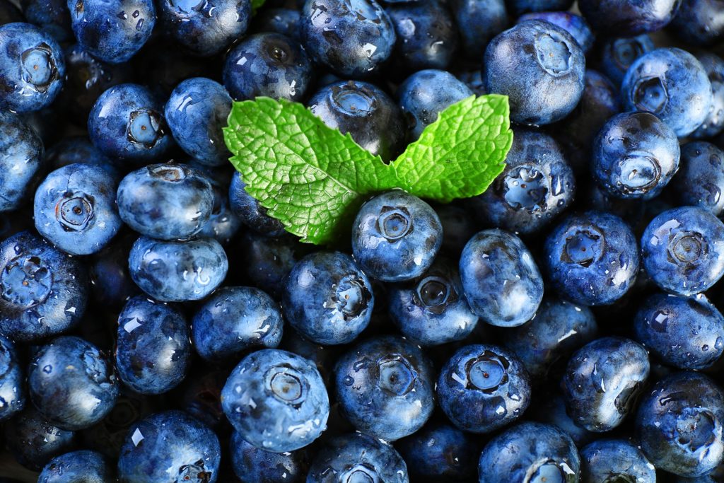 Peruvian berry purchases totaled 18,575 tons for US$110 million, a positive variation of 91% in volume and 92% in value compared to the same period last year.