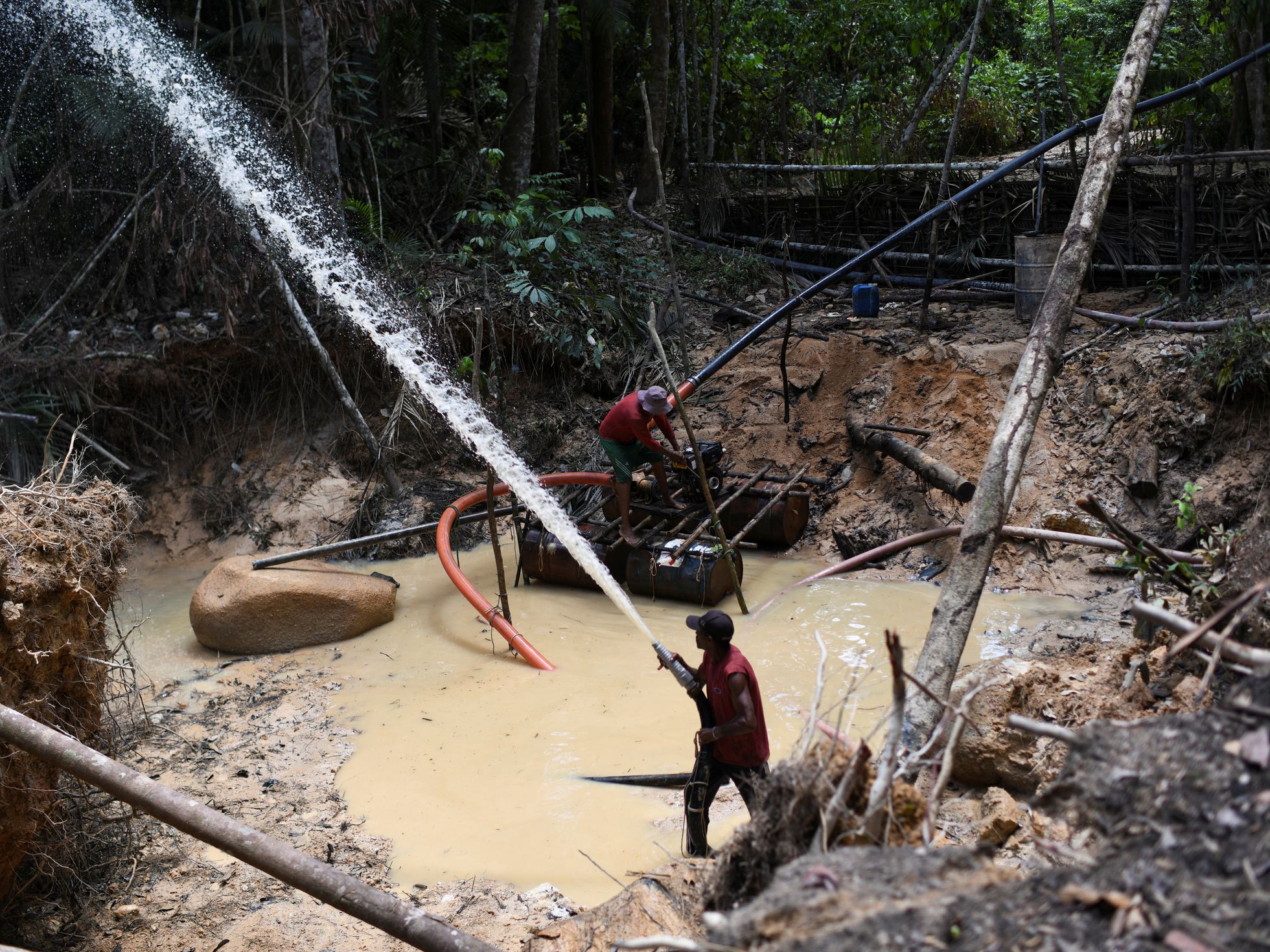 braziliangold-amazon