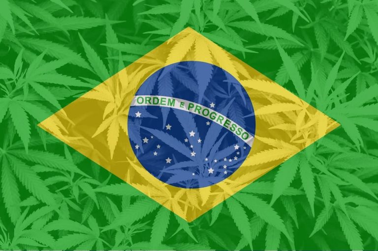 Brazil: Cannabis attracts family offices in million-dollar rounds