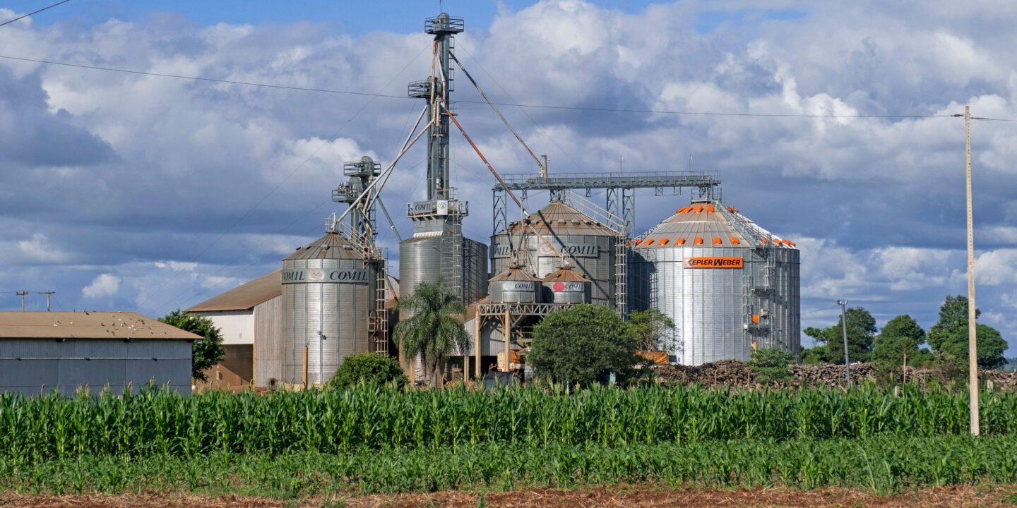 Soybean silos in Paraguay, where the company seeks to build the region's largest biofuels plant based on soybeans, among other raw materials.