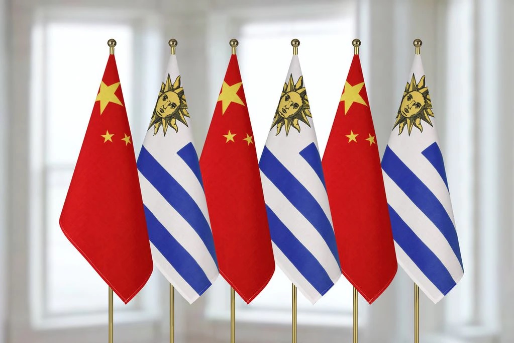 China is Uruguay's first trading partner, appearing more consolidated in that position. Numbers are on the rise, and the relevance of the Asian giant's participation can be seen especially in meat, the main product exported by Uruguay.