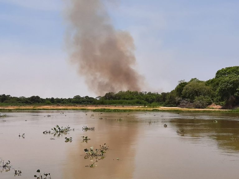 Fires in the Pantanal: State of emergency in Brazil’s Mato Grosso do Sul state