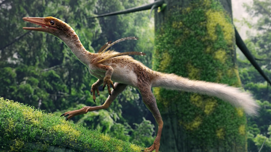 Ubirajara jubatus