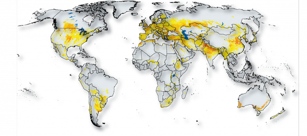 Wheat growing areas worldwide. (Photo internet reproduction)