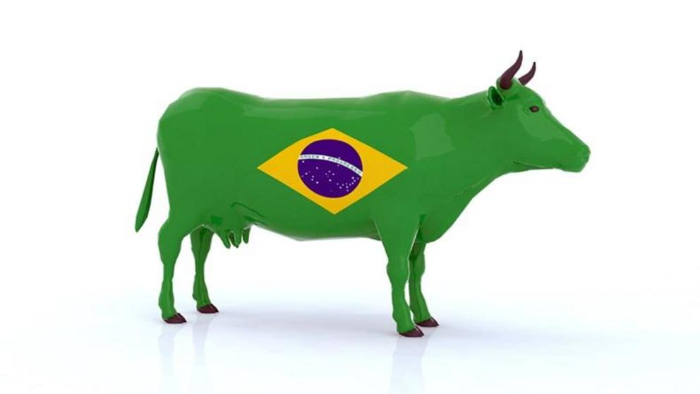 beef