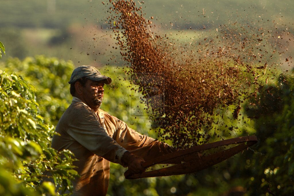 cafebrasil