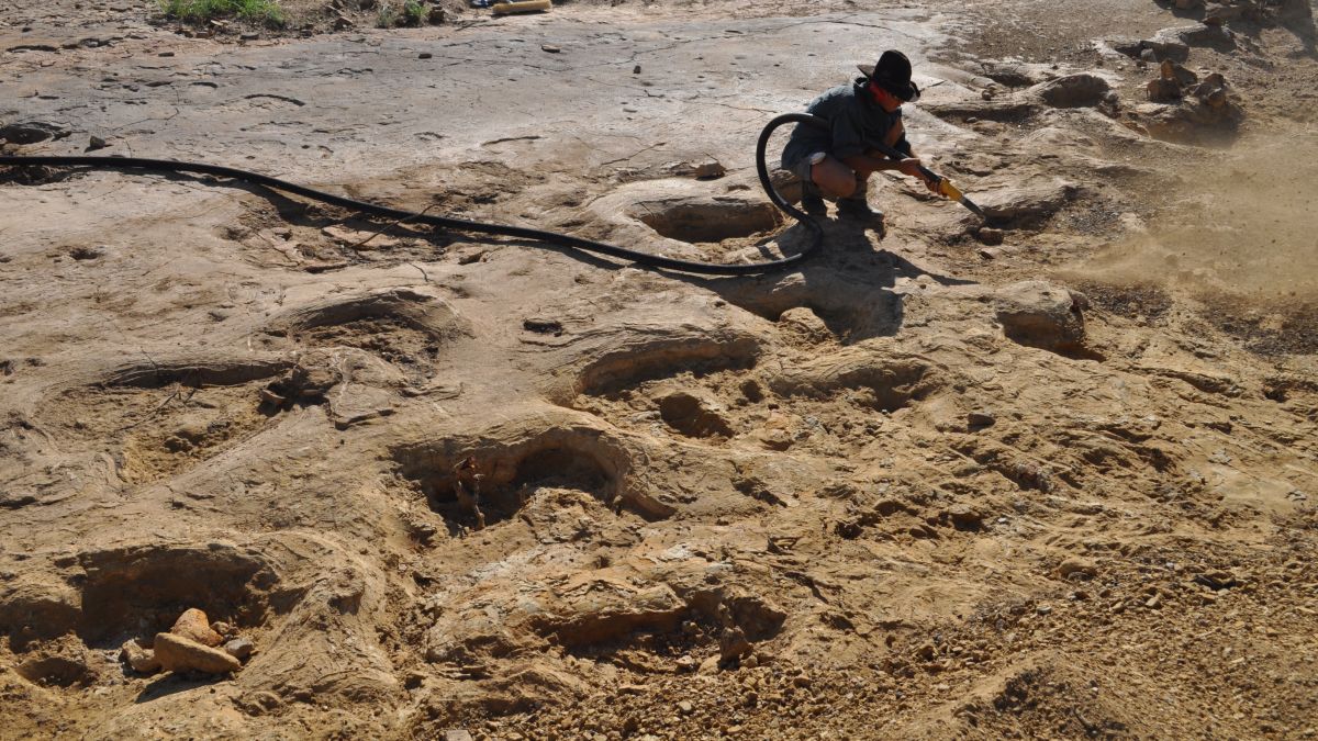 Over 1,000 dinosaur footprints discovered in small Chilean town. (Photo internet reproduction)