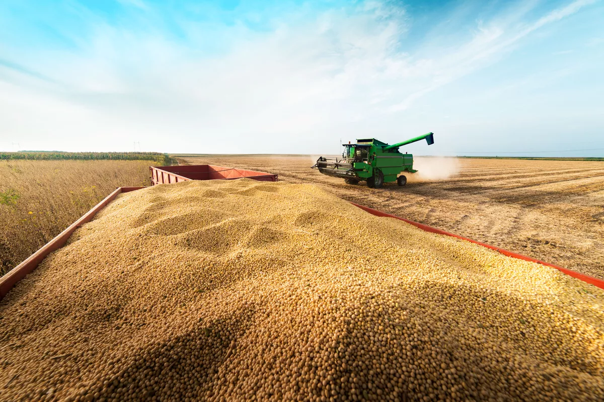 Brazil records largest grain harvest in history. (Photo internet reproduction)