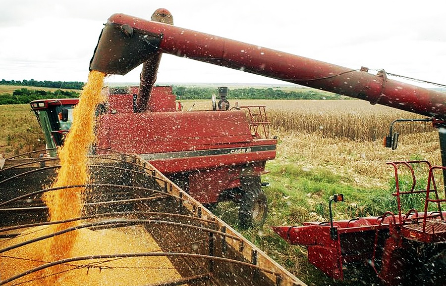 agriculture