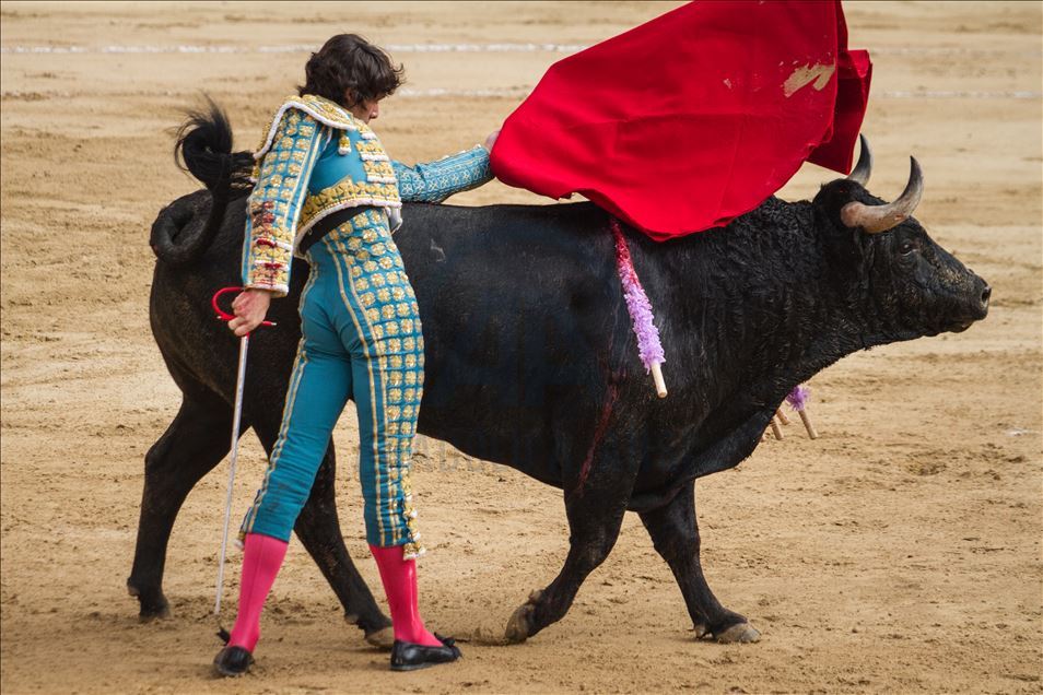 It is not the first time that similar proposals to ban bullfighting have been put forward, so far without success.
