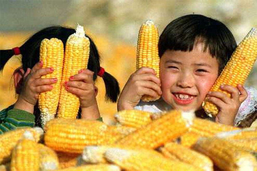 Brazil is on track to reach historic milestone with first corn export to China