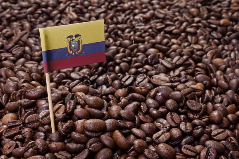 Ecuador exports to Italy first batch of “deforestation-free” coffee