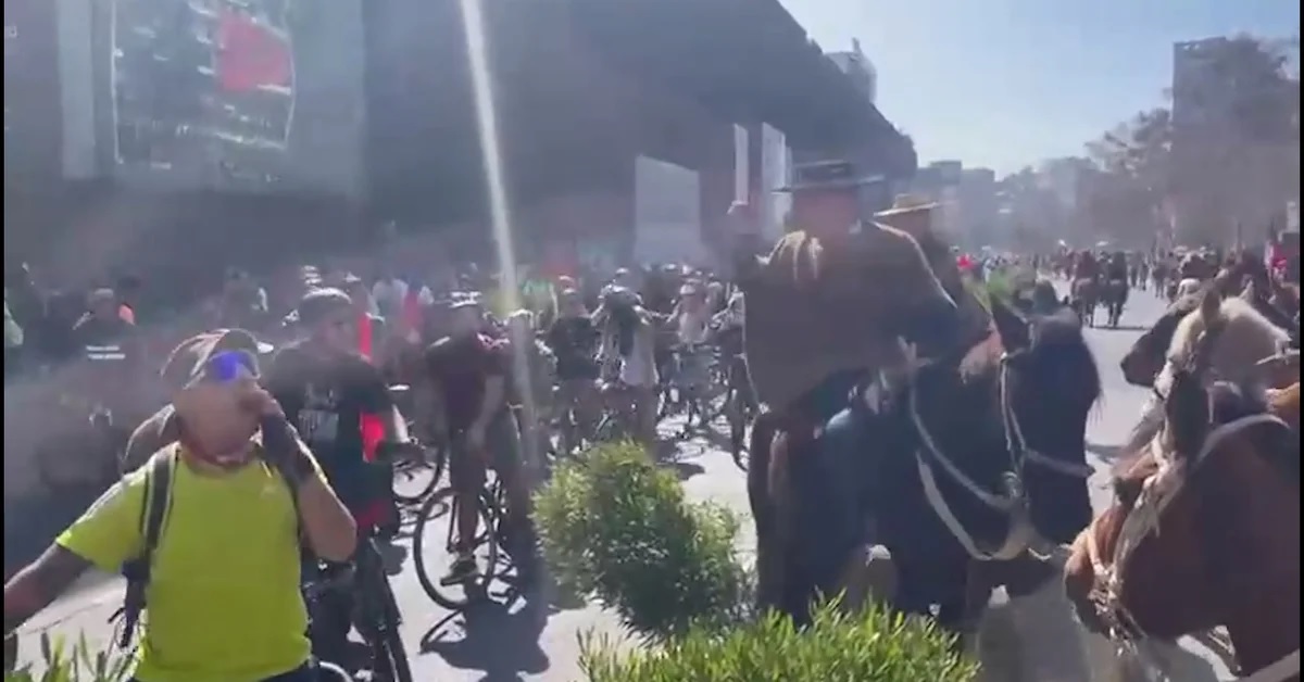 One horse-drawn carriage ran over several cyclists.