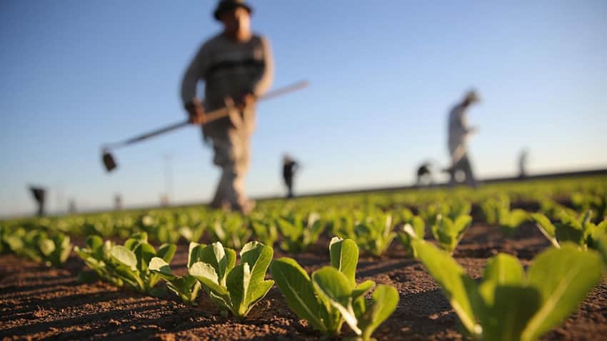 Minister calls for greater Chinese investment in Angolan agriculture. (Photo internet reproduction)