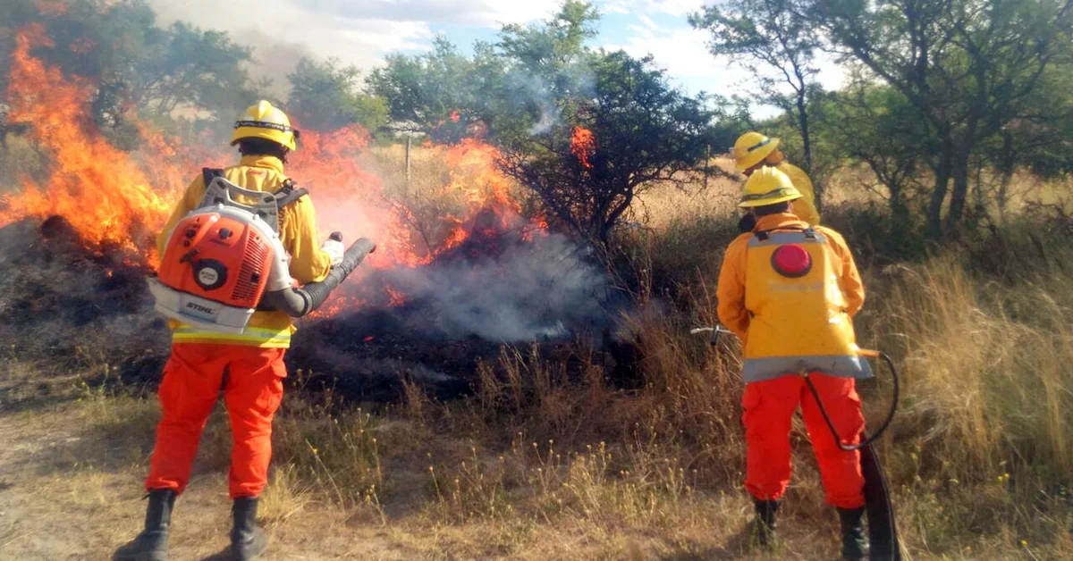 Argentine governor denounces 'premeditated' forest and grassland fires. (Photo internet reproduction)