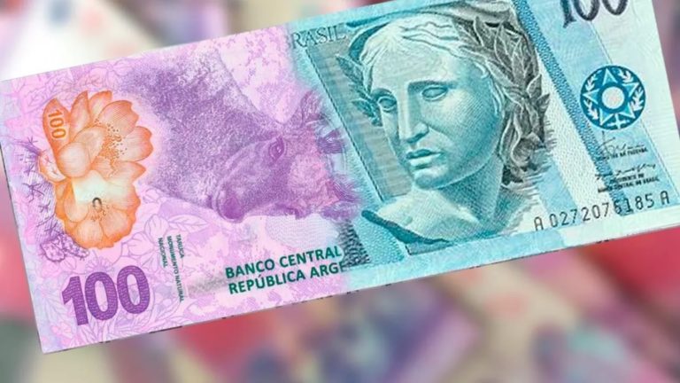Single currency with Brazil: Argentine opposition resumes inflation initiative