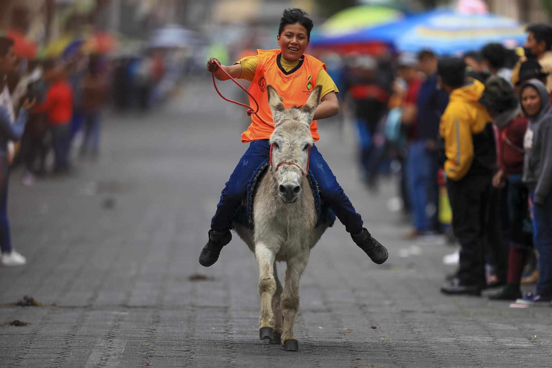  Ecuador hosts the largest donkey race in the world. (Photo internet reproduction) DISPLAY SETTINGS