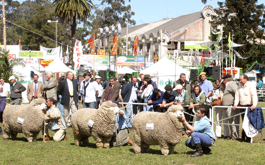 Expo_Prado2