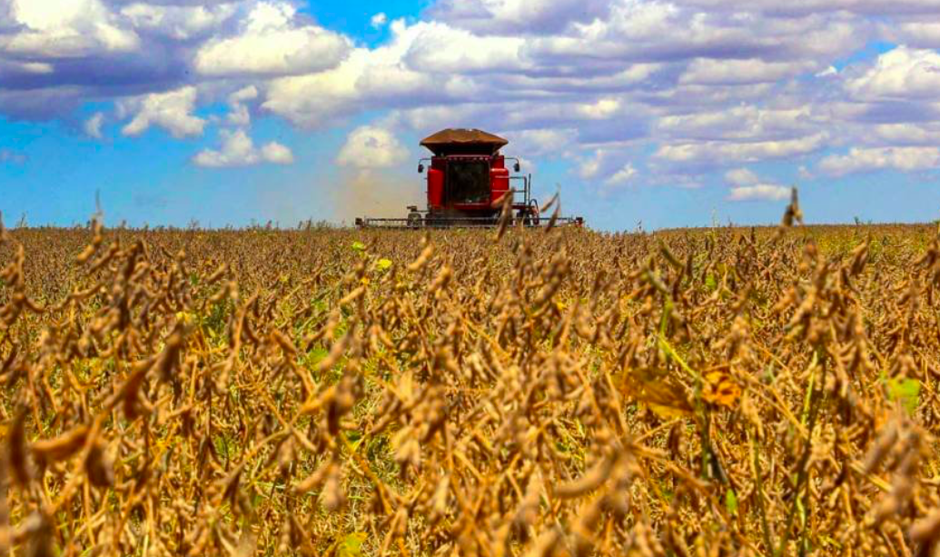 Harvest