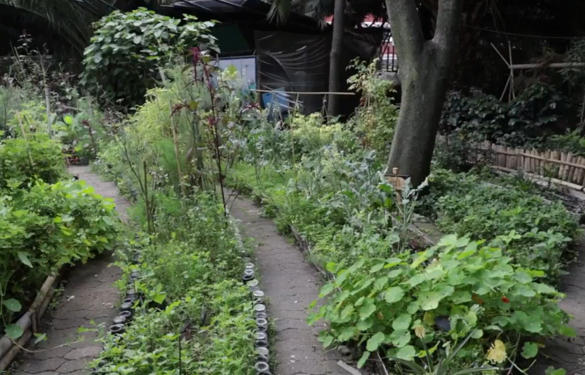 Mexico garden