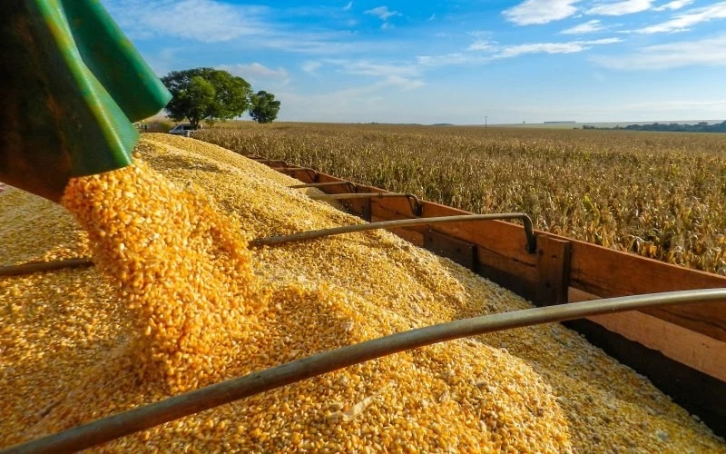 agriculture