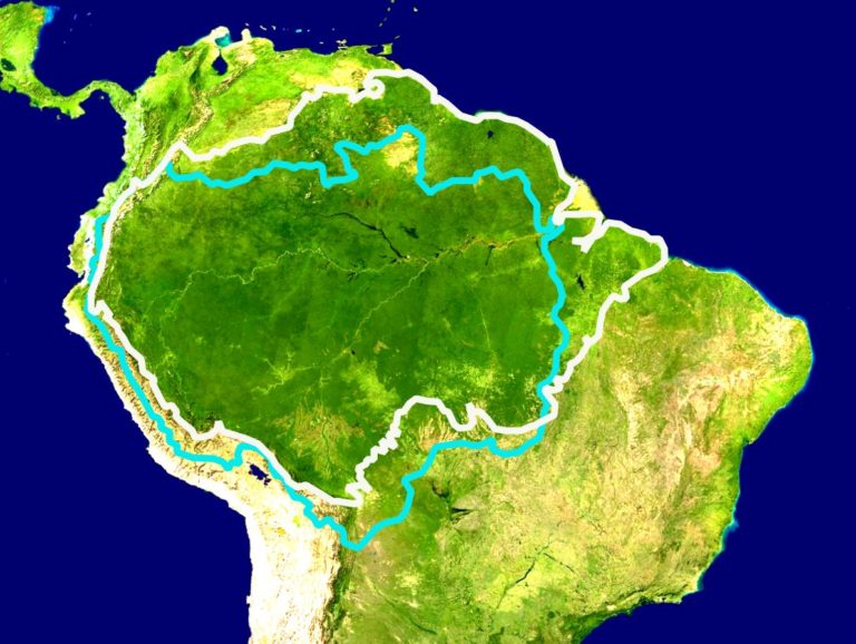 Destruction of the Brazilian Amazon in 2022 is said to be a record, with 10,267 square kilometers of rainforest lost