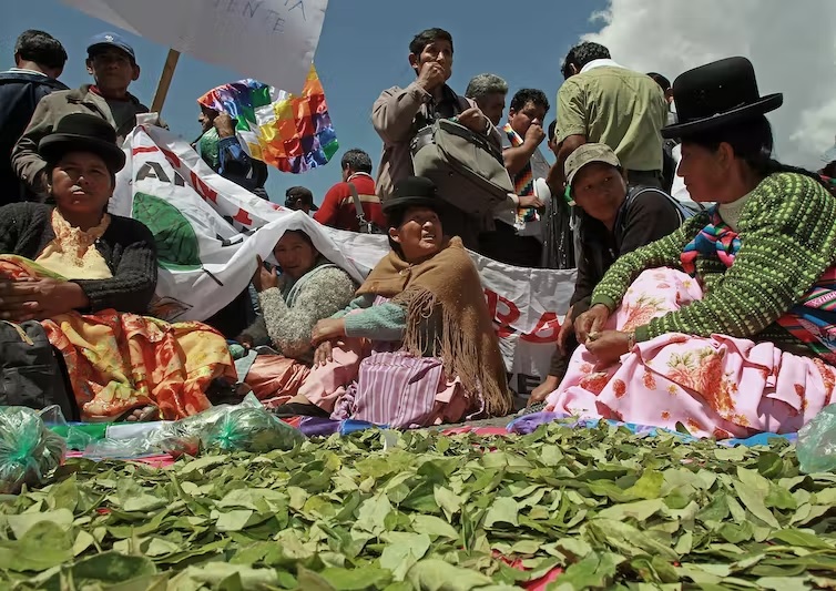 The commercialization of coca leaf is legal in Bolivia for the traditional acullico.
