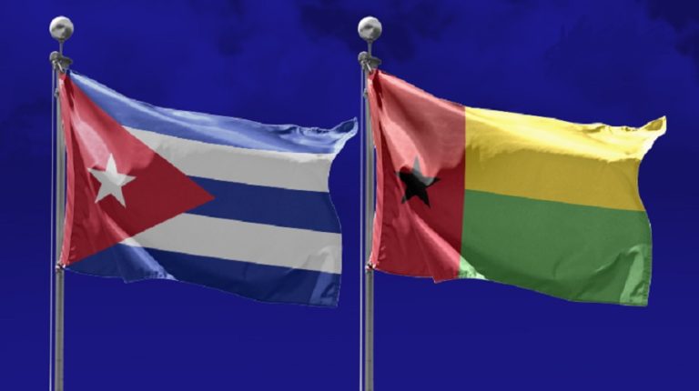 Guinean Ministry of Foreign Affairs analyses new prospects for cooperation with Cuba