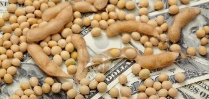 Argentina confirms foreign exchange earnings of US$1.075 billion 72 hours after launching soybean dollar