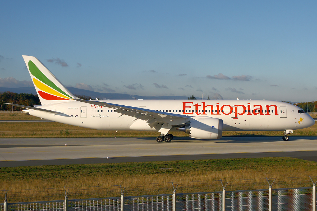 Ethiopian is the leading airline for flights between Africa and South America