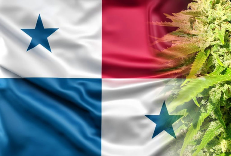 Panama authorizes medical and therapeutical cannabis