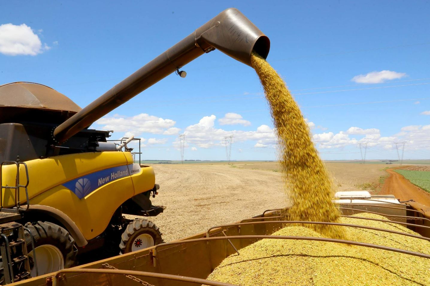 From Paraguay, Argentine soybeans could be sold abroad for more than US$500 per ton, compared to the US$200 obtained from Argentina.