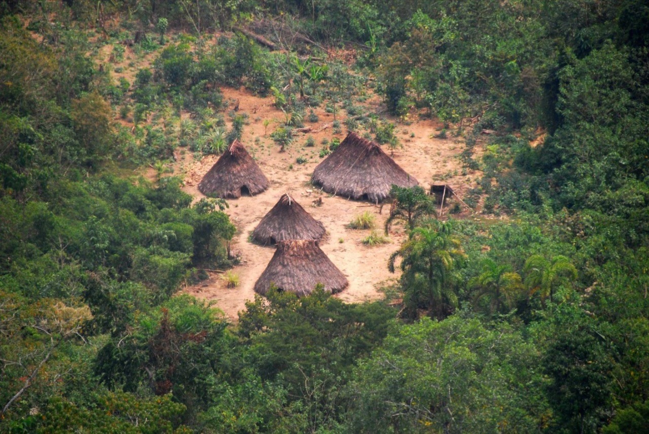 tribu