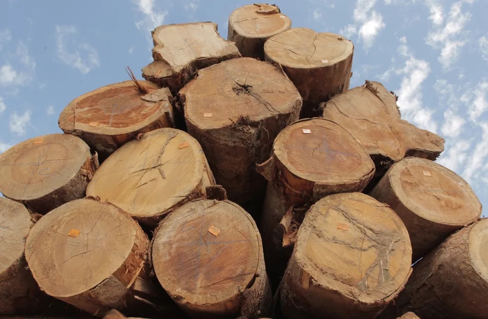 "Some of it is authorized to be cut; not all is illegal logging."