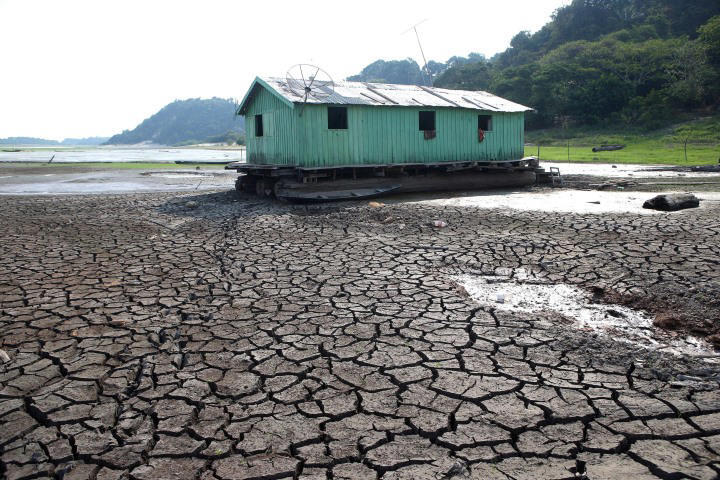 Brazilian Amazon suffers worst drought in decades