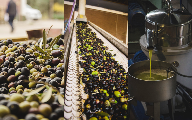 The oil is obtained from a mechanical first pressing of the olives without using solvents.