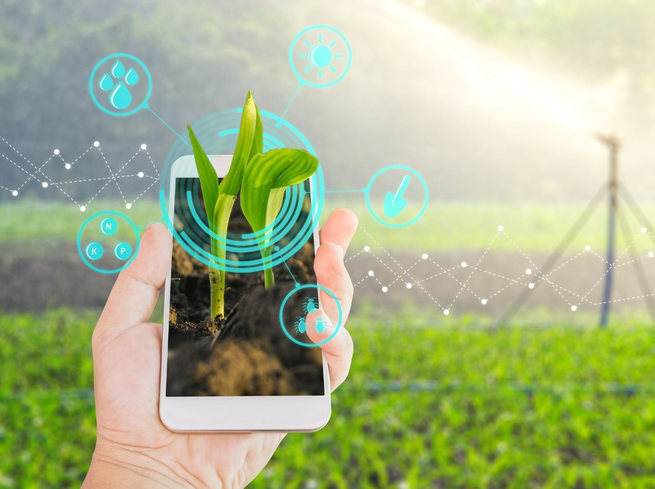While in the past, what determined a farmer's success was the size of his land, today, technical knowledge is responsible for multiplying productivity in the Brazilian countryside.