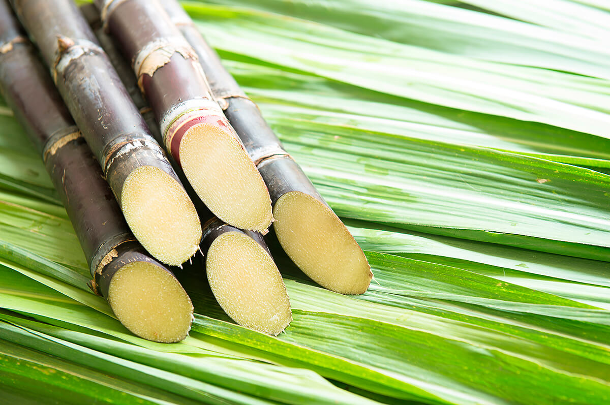 São Paulo is the leading sugarcane producer in Brazil.