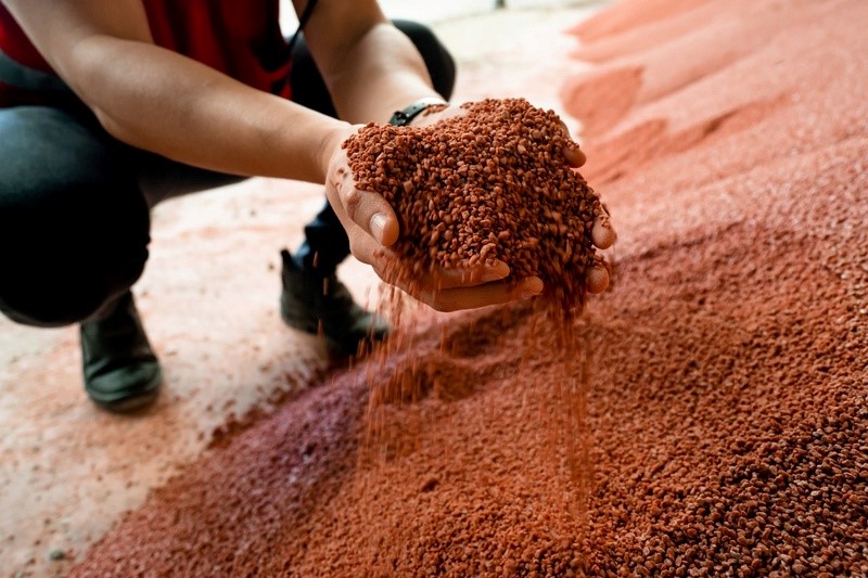 fertilizers