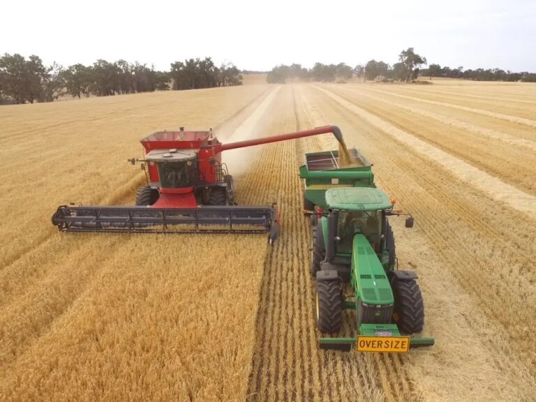 Brazil expects record grain harvest of 312.4 million tons
