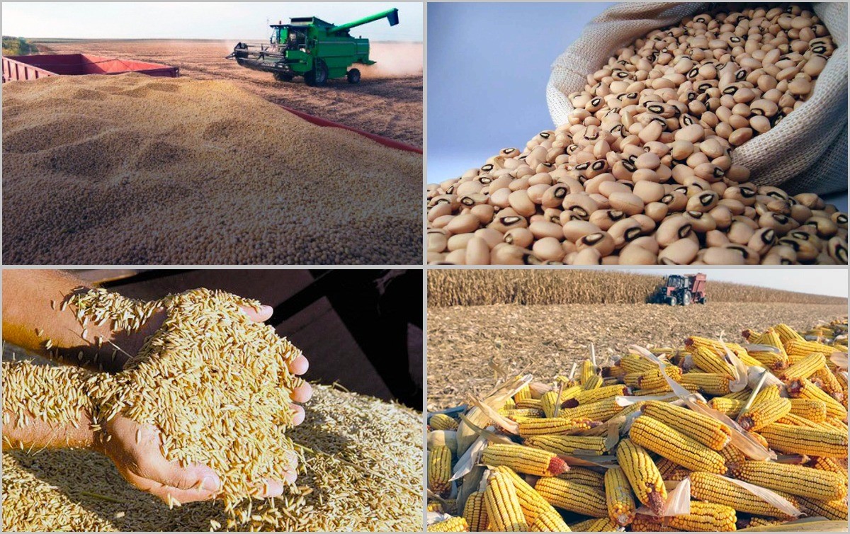 grains