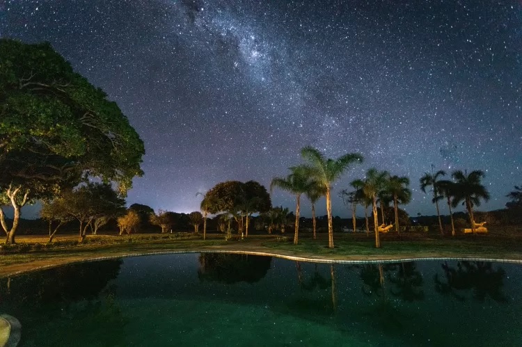 The activities include a night focus - a tour where the animals are more active.