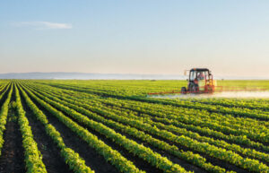 Brazil's Agricultural Outlook for 2024: A Detailed Analysis