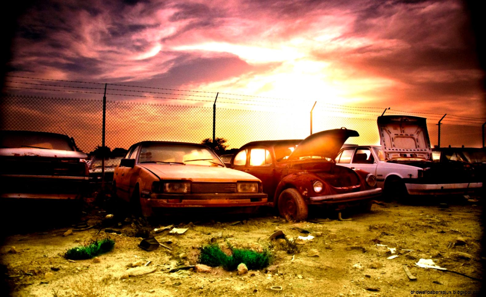 Junk cas