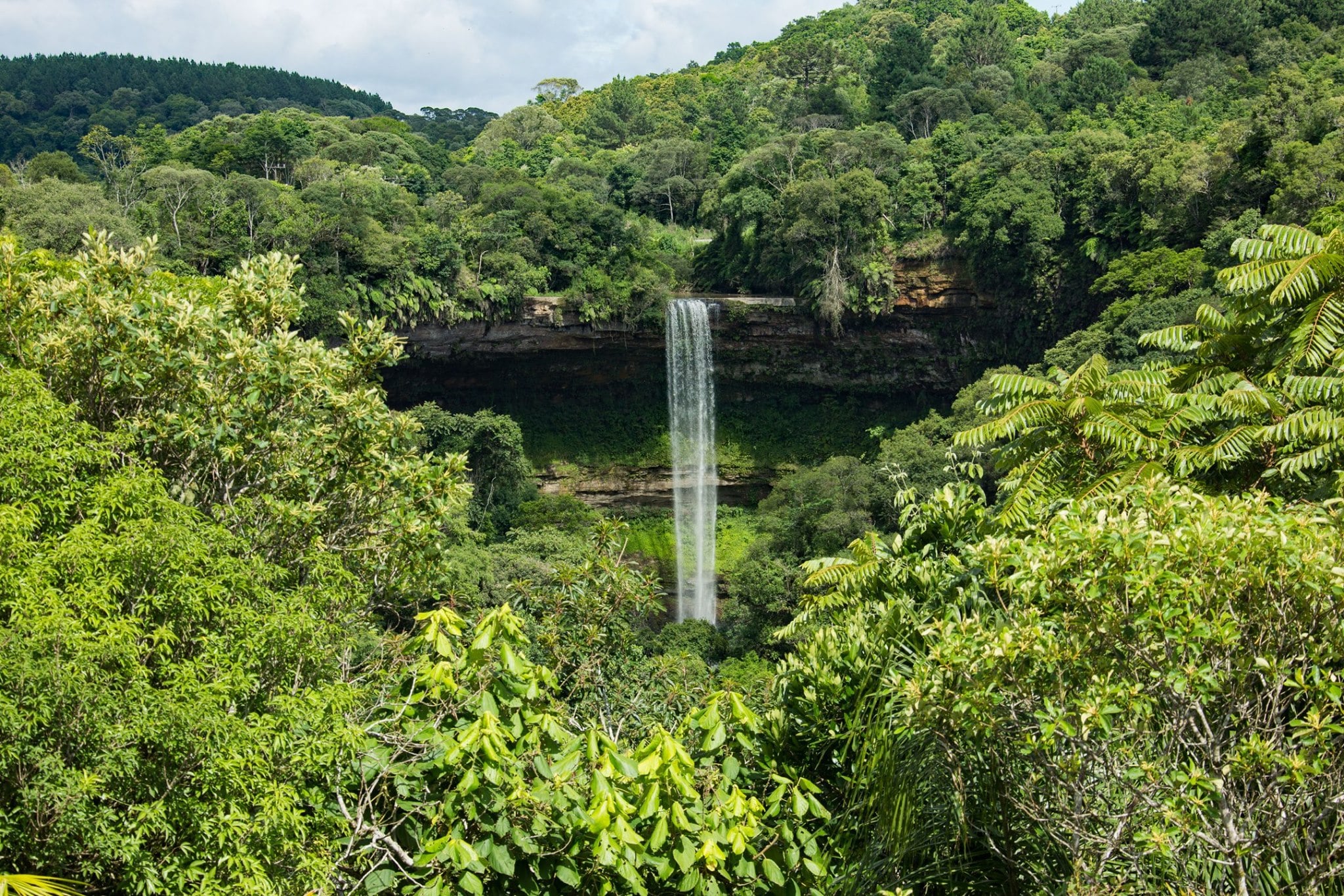 Paraguay Gains a New UNESCO Biosphere Reserve as It Hosts Ta